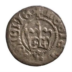 Münze, Kwartnik, 1492/1501