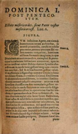 Conciones Sive Conceptus Theologici. In Omnes Totius Anni Dominicas, 2. A Festo Pentecostes usque ad Adventum Domini