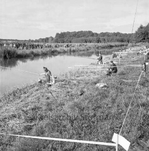 C.I.P.S. (Confédération Internationale de la Pêche Sportive) 16. Welt-Wettfischen: Trave beim Brenner Moor: Sportfischer beim Wettkampf