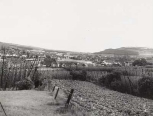 Spalt. Stadtansicht von Nordwesten (über Hopfenfelder)