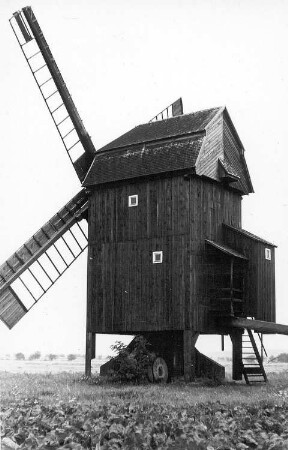 Doberlug-Kirchhain-Trebbus. Bockwindmühle, Baujahr 1881