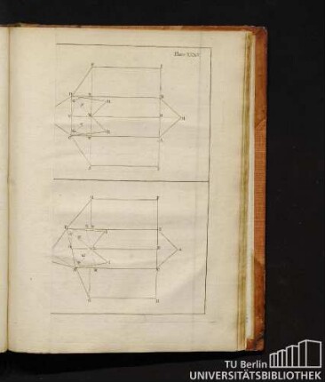 Plate XXXV.