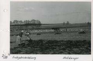 Frühjahrsbestellung - Düngen der Felder