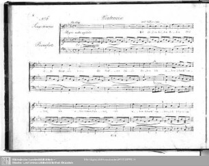 No.6. Winterreise