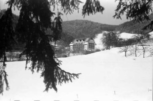 Glotterbad: Sanatorium; Blick zum Sanatorium; Vordergrund Tannenast