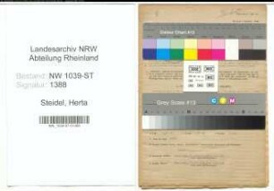 Entnazifizierung Herta Steidel , geb. 08.02.1920 (Angestellte)