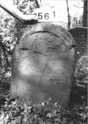 Grabstein 561