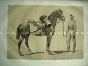 Uniformdarstellung, Mannschaftspferd und Soldat des Karabinier-Regiments, Frankreich, 1859. Tafel 21 im Buch: Armand-Dumaresq: Uniformes de l'Armée Française.