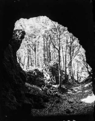 Mühlsteinhöhle : Jungen sitzen vor dem Ausgang der Nerother Höhle im Wald