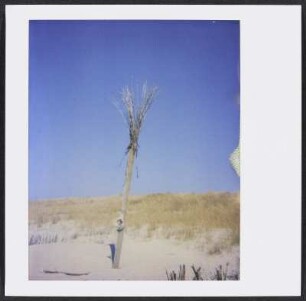 Strand auf Sylt