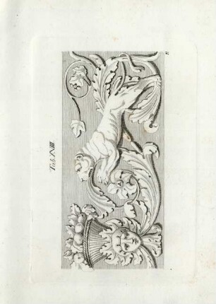 Tab. XVIII.