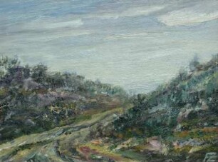 Weg durch die Heide