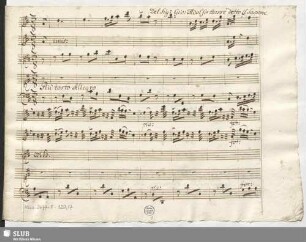 Leucippo. Excerpts - Mus.2477-F-120,17 : S, strings, bc