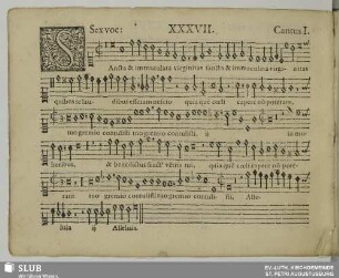 XXXVII. Sancta et immaculata