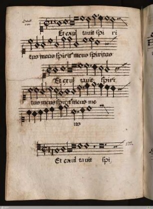 Orlandus : [Magnificat] 8 toni