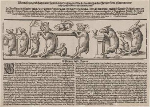 Abcontrafeihung ettlicher seltsamer Figuren/so zu Straßburg im Münster vor ettlich hundert Jaren in Stein gehawen worden/ den Paepstischen Gottesdienst darmit abzubilden.