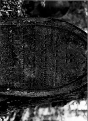 Grabstein 441 (neu: 555): Grabstein 441A (neu: 555)