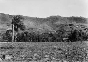 Landstufe bei Santa Maria da Serra : Eine Landstufe bei Santa Maria da Serra. Im Vordergrund Grasland, vor der Stufe Baumgruppen und auf den Hängen Grasland, Baumgruppen und Plantagen gemischt.