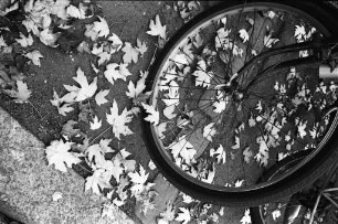 Herbststimmung.
