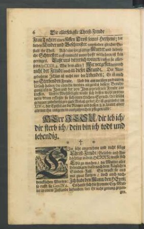 Eine sehr angenehme und recht selige Christ-Freude/ [...]