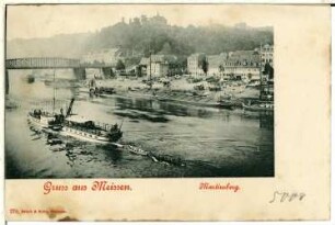 Meißen. Martinsberg und Elbe