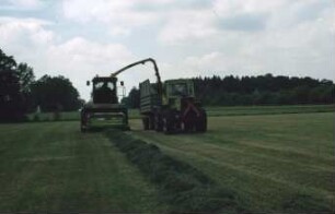 Fotografie: Futtererntetechnik, Silageernte, Feldhäcksler selbstfahrend, Pickup, Parallelverfahren