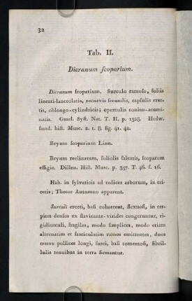32-37, Tab. II. Dicranum scoparium.
