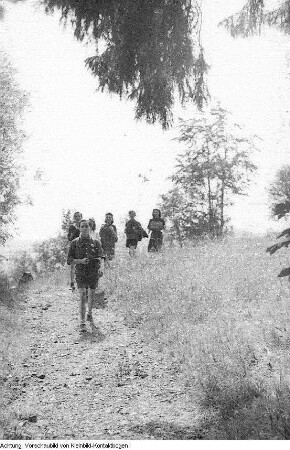 Landschaften, jugendliche Wandergruppe, 1948