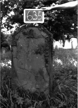 Grabstein 635 (Index: 100104977) Material: Sandstein Zustand: stark verwittert, abgeblättert, fast vollständiger Textverlust Maße HxBxT: 110x66x11 cm Beschreibung: Stele, Konvexbogenabschluss, Schriftfeld eingetieft: Grabstein 635