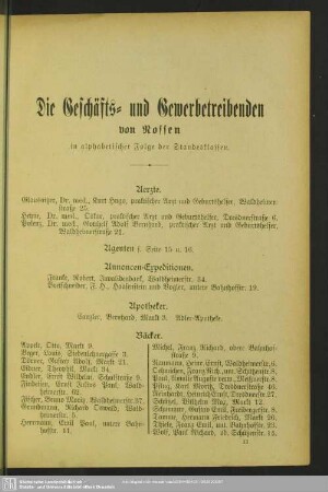 Berufsklassen und Gewerbebetriebe : Die Geschäfts- und Gewerbetreibenden von Nossen