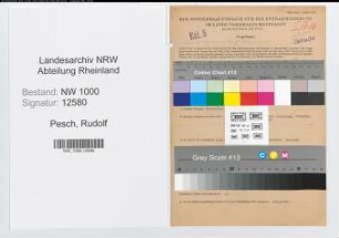 Entnazifizierung Rudolf Pesch, geb. 14.08.1905 (Verw.Inspektor)