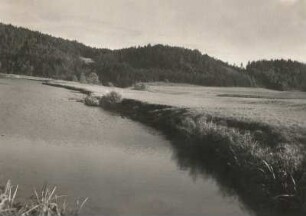 Mittelsächsisches Bergland. Zschopau bei Falkenhain, flußabwärts gesehen (seit 1930 vom Stausee Kriebstein überflutet)