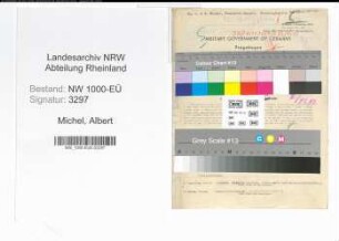 Entnazifizierung Albert Michel, geb. 21.03.1908 (Kaufmaennischer Angestellter)