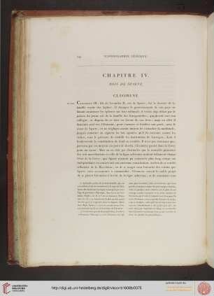 IV. Rois de Sparte (Tafel 41)