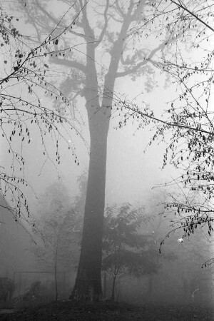 Herbststimmung.