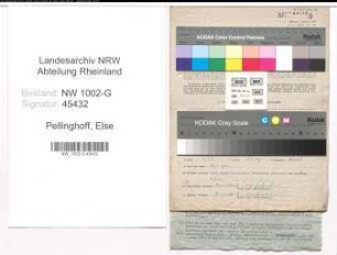 Entnazifizierung Else Pellinghoff, geb. 23.05.1900 ()