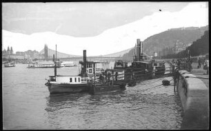 Budapest. Donaubild mit Dampfschiffen und Elisabethbrücke