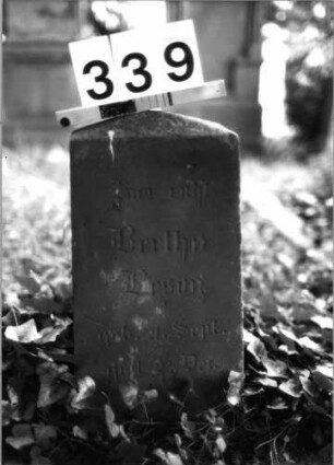 Grabstein 339 (Index: 100084923) Maße HxBxT: 45x23x13 cm Beschreibung: Obelisk: Grabstein 339