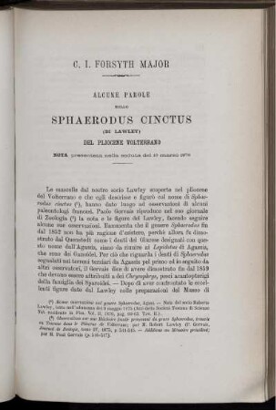 Alcune Parole Sullo Sphaerodus Cinctus