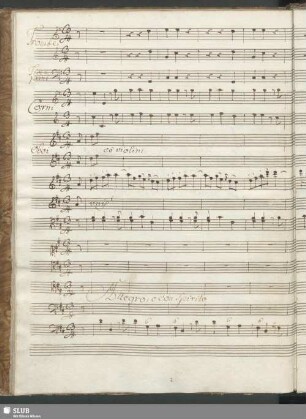 Te Deum, laudamus te Dominum confitemur