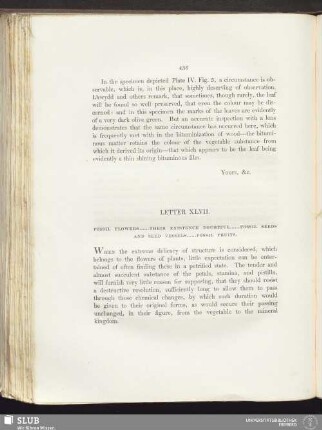 Letter XLVII. Fossil flowers ... Their existence doubtful ... Fossil seeds and seed vessels ... Fossil fruits