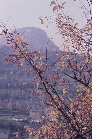 Königstein in der Sächsischen Schweiz im Herbst