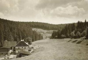 Natzschungtal bei Rübenau. Blick talaufwärts
