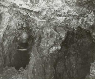 Zinnbergbau. Brennörter in den Zinnklüften des Saubachtals im Bergbaurevier Niederpöbel-Sadisdorf