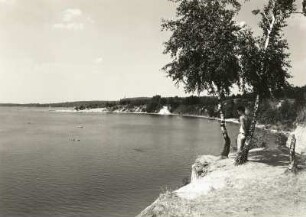 Knappenrode. Knappensee, Steilufer im Nordosten