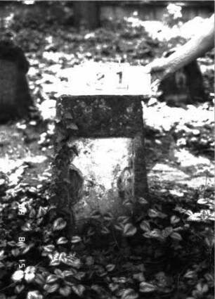 Grabstein 21 (Index: 100105619) Material: Muschelkalk Zustand: Schriftplatte fehlt Maße HxBxT: 68x40x32 cm Beschreibung: rechteckige Stele, Schriftfeld eingetieft: Grabstein 21