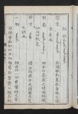雜語 = Buyarame hacin i gisun