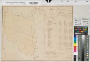 Eickelborn (Lippstadt), Teilung der Gemeinheiten im Amt Oestinghausen, vor allem der Eickelborner Gemeinheiten, Teilung der Gemeinheit Lohe, Amt Oestinghausen, mit Teilungsplan