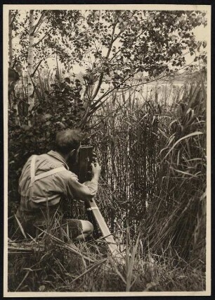 Rudolf Zimmermann filmt : Der bekannte Tierfotograf Rudolf Zimmermann filmt an einem Drosselrohrsängernest
