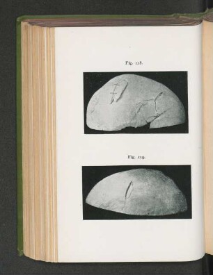 Fig. 118. Fig. 119.